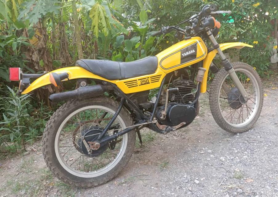 Yamaha DT 250 สีเหลือง ปี 1972