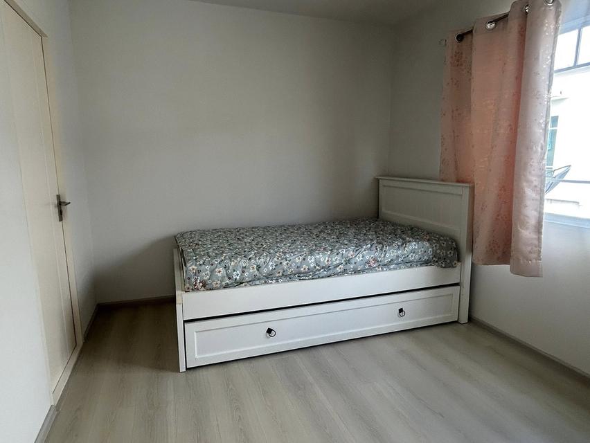 🏡🐶 ให้เช่าด่วน! ทาวน์โฮม Indy 2 บางนา กม.7 Pet Friendly! 2 นอน 3 น้ำ ใกล้ Mega Bangna / IKEA 🛒 4