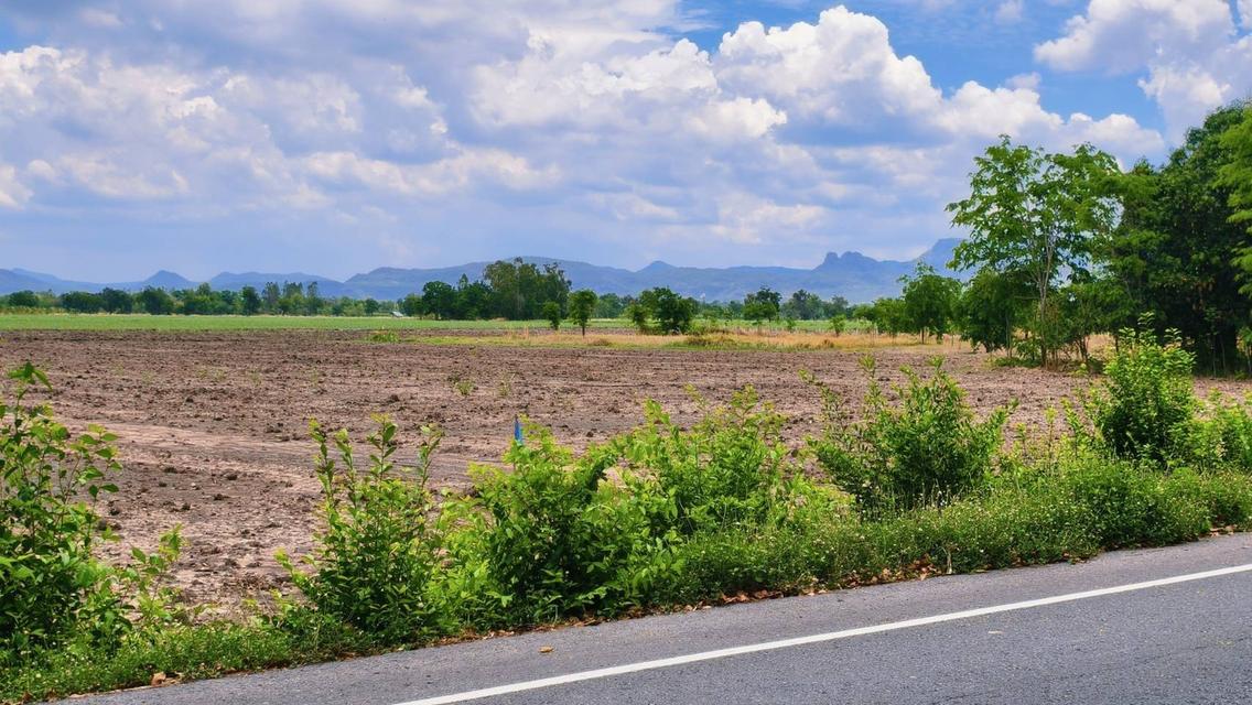 ที่ดิน ดงมะรุม โคกสำโรง ลพบุรี ติดถนนลาดยาง  16