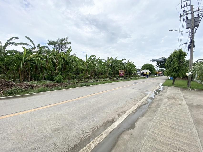 ขายที่ดินแปลงสวย เจ้าของขายเอง 227 ตรว. อ.บางใหญ่ จ.นนทบุรี 1