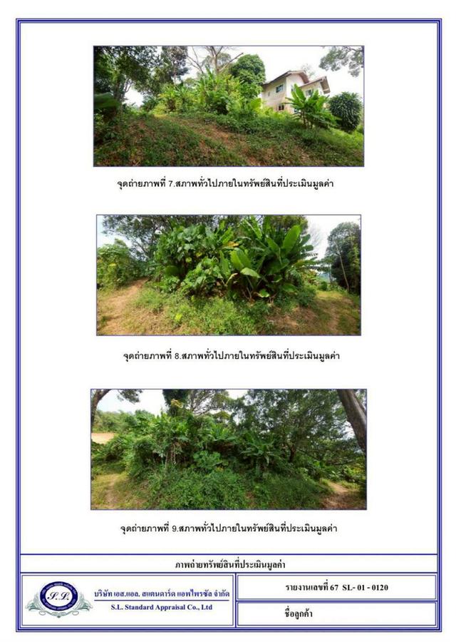 ที่ดินเปล่าภูเก็ตขายต่ำกว่าตลาด ซีวิว 3