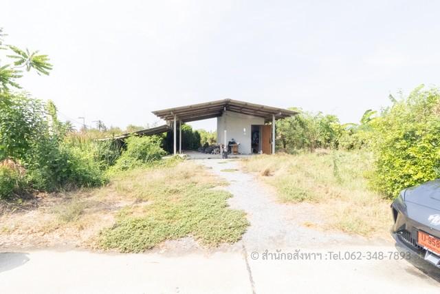 ขายที่ดินทำเลทอง ต.คลองใหม่ สามพราน นครปฐม ติดถนน 2 ด้าน 3