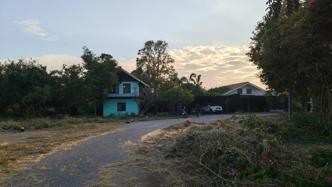 ขาย/ให้เช่า ที่ดินอ่างทอง เจ้าของขายเอง 4