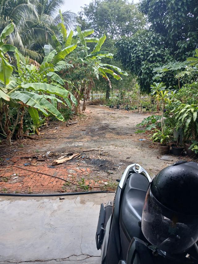 ทีดินพ้รอมสิ่งปลูกสร้าง 3