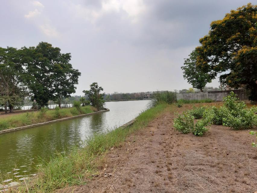 ⛳ขายที่ดินเปล่าเหมาะสำหรับปลูกสร้างบ้าน ในโครงการหมู่บ้านเดอะลากูน1 อำเภอสามโคก จังหวัดปทุมธานี ติดละเลสาป ⛳ 14