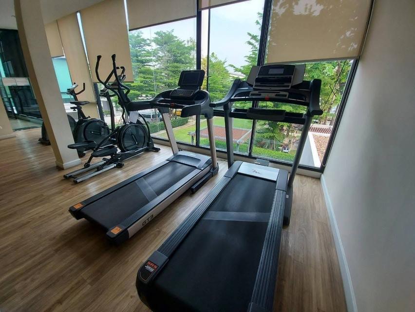 ให้เช่า ทาวน์โฮม 3 ชั้น หมู่บ้าน Plex Bangna Village (ติดริมถนน บางนา-ตราด กม.5) 12