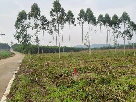 ที่ดินติดถนนเทพราชลากระบัง เนื้อที่ 51-1-167 ไร่ ไร่ละ 10 ล้าน รวมเป็นเงิน 520 ล้านบาท อ.บางบ่อ สมุทรปราการ 10540 3