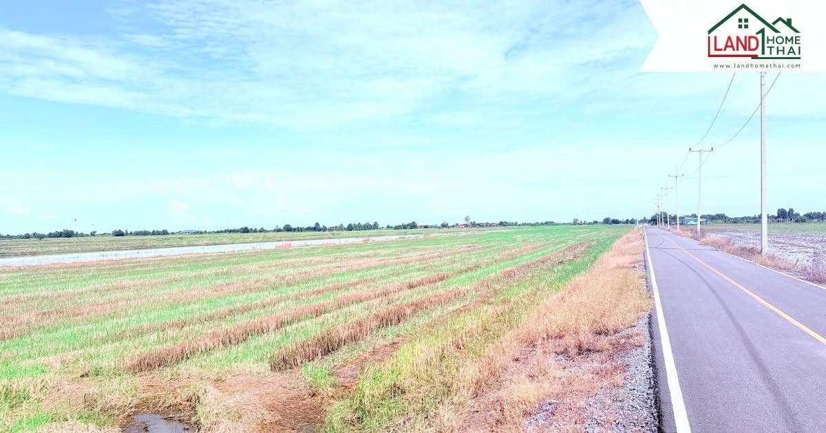 ขายที่ดิน ขนาดใหญ่ ราคาดี ทำเลบางเลน จ.นครปฐม 3