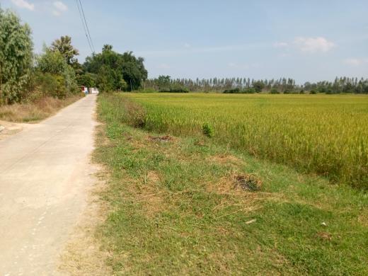 ขายที่ดิน อำเภอหนองมะโมง จังหวัดชัยนาท ห่างถนนใหญ่ 200 เมตร 4