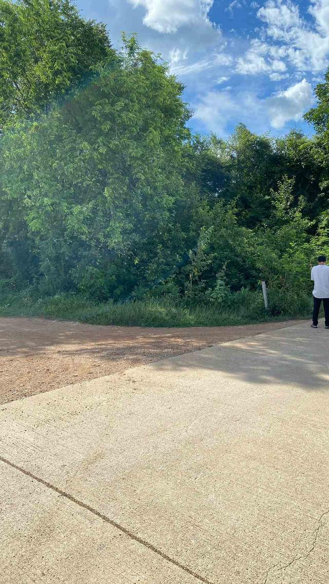 ขายที่ดินเปล่า ทำเลดี  ต.หนองกุ่ม อ.บ่อพลอย จ.กาญจนบุรี 9