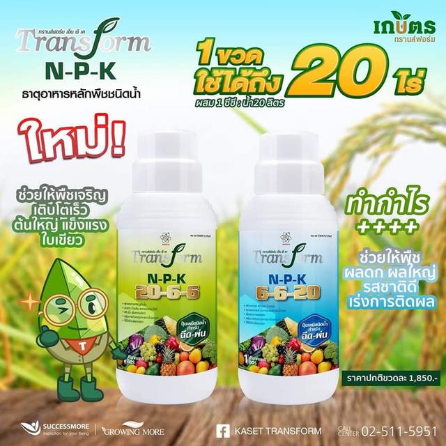 ปุ๋ย transform n p k สูตร 6 6 20 รูปย่อยที่ 2