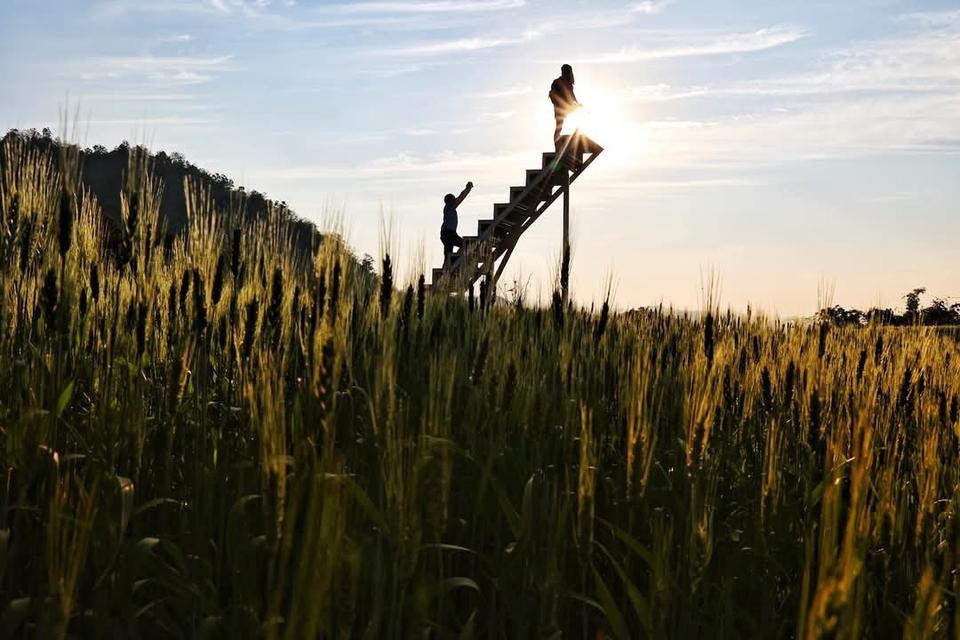 ทริปเชียงใหม่ สะเมิง 3 วัน 2 คืน รูปย่อยที่ 3