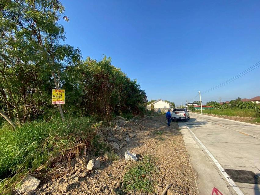 ขายด่วนที่ดินทำเลดี 96 ตรว ติดถนนคอนกรีตสาธารณะ ถมแล้ว ซ.เทพประทาน 1 อ.ไทรน้อย จ.นนทบุรี 8