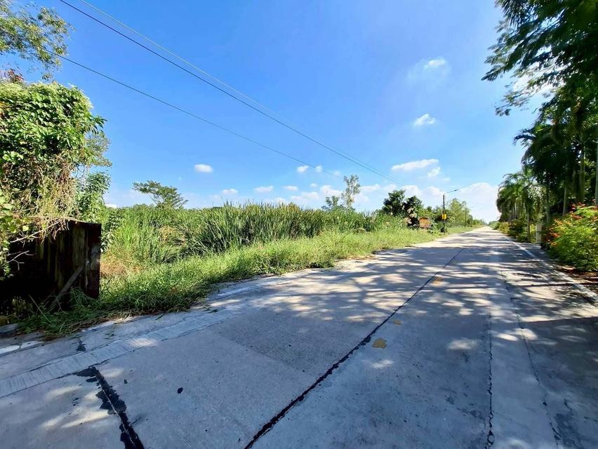 Vายด่วนที่ดินคลองสอง 2 ไร่ ซอย ไอยรา 34 อ.คลองหลวง จ.ปทุมธานี 5