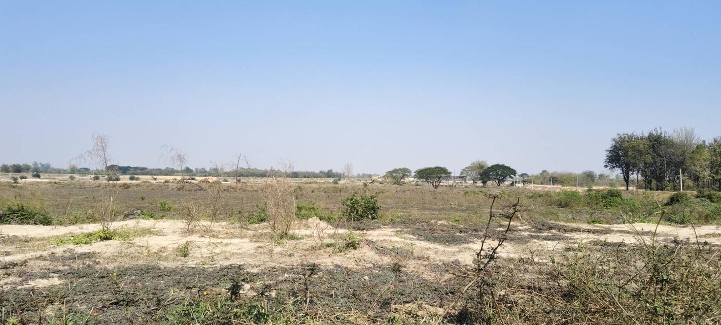 ขายที่ดินนครปฐม หนองดินแดง เนื้อที่14ไร่3งาน ที่ดินเป็นที่บ่อทราย 1