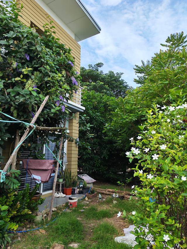 บ้านเดี่ยว ขนาด 57.5 ตารางเมตร เป็นบ้านหลังริม ติดสวนสาธารณะ 5