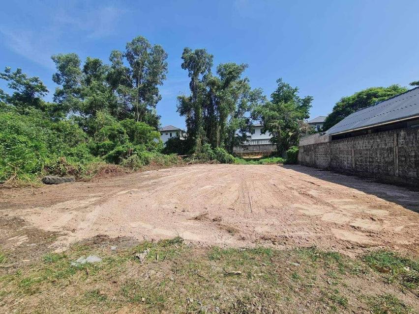 ขายที่ดินหนองปรือ พัทยา 80 ตรว. ซอยพรประภานิมิตร26 ใกล้อ่างเก็บน้ำมาบประชัน-4กม. อ.บางละมุง ชลบุรี 1
