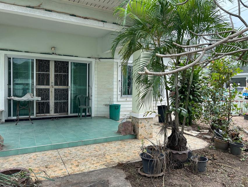 บ้านเดี่ยวหมู่บ้านชาลิตา 2 บางละมุง ชลบุรี เนือ้ที่ 142 ตรว. 4