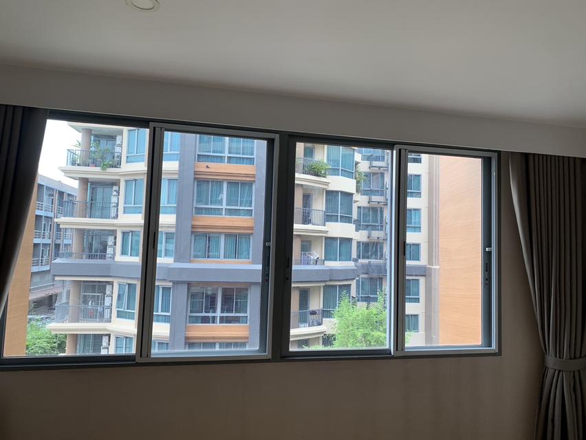 คอนโดไซมิส นางลิ้นจี่ 17