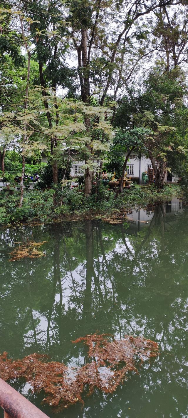 ที่ดินพร้อมบ้านสวนผลไม้