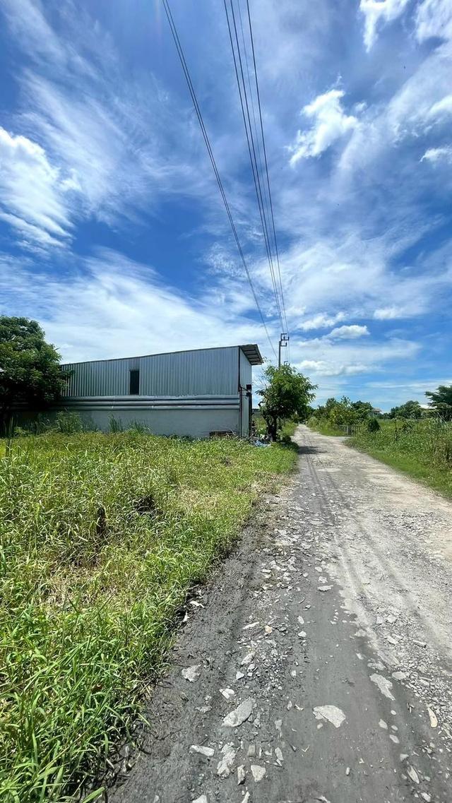 ขายที่ดินร่มเกล้า (ซอยร่มเกล้า 17 แยก 6) 4