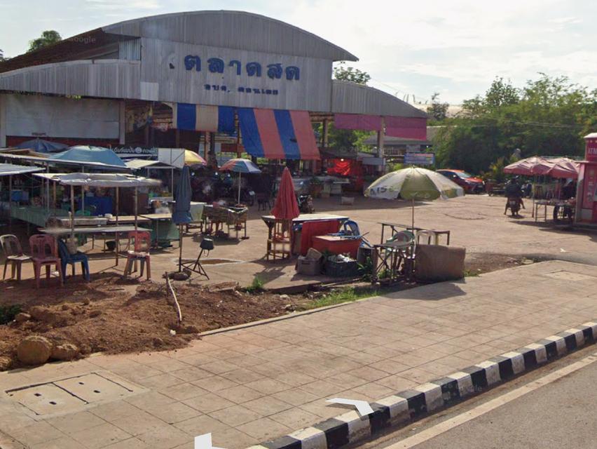 ขายที่ดิน314ไร่ ติดถนนหลัก อ.นาทม จ.นครพนม 8