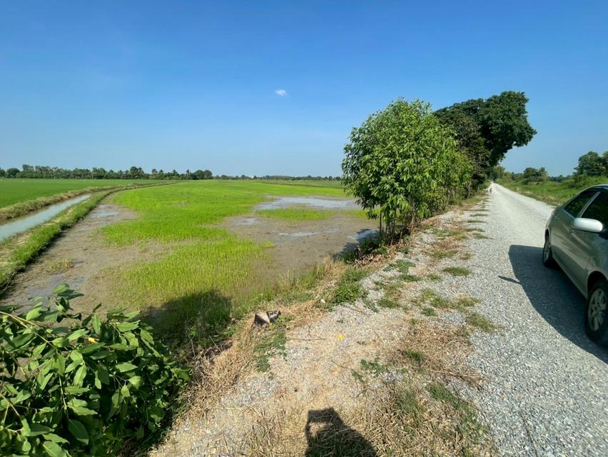 ที่ดิน จำนวน 9 ไร่ จ.สุพรรณบุรี 6