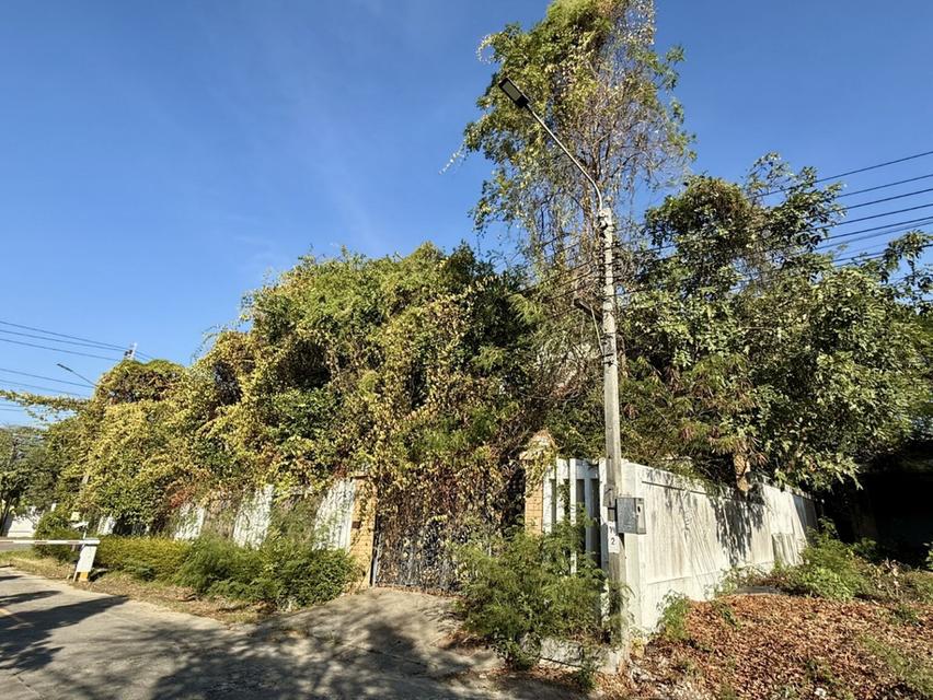 ขายบ้านเดี่ยว 2 ชั้น หมู่บ้านกรีนวัลเล่  อำเภอบางพลี  จังหวัดสมุทรปราการ 3