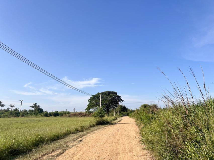 ที่ดิน กุยบุรี ประจวบคีรีขันธ์ ขนาด 1 ไร่ 1 งาน 289,000 บาท 17