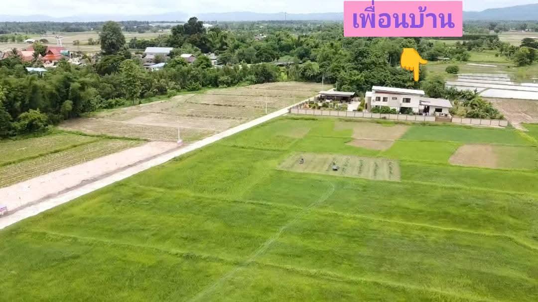 ขายที่ดินเปล่าแบ่งแปลงราคาถูกถมดินแล้ว 10