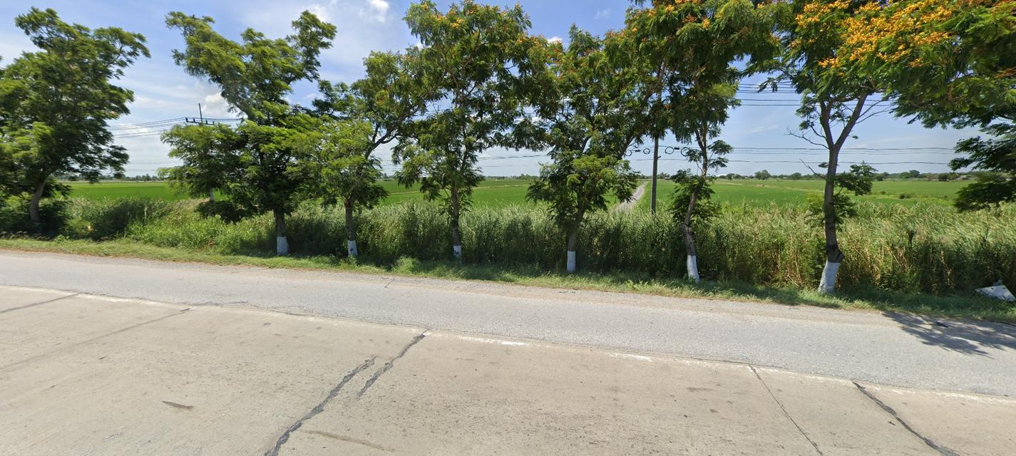 ✅ขายที่ดิน 76ไร่ พื้นที่สีม่วง หน้ากว้าง 330ม. ถนน340 บางบัวทอง-สุพรรณบุรี กม.51 ตำบล องครักษ์ อำเภอบางปลาม้า สุพรรณบุรี 6