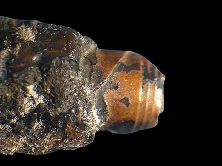 ตะกรุดมงคลโสฬส หลวงปู่เอี่ยม วัดสะพานสูง. รูปที่ 6