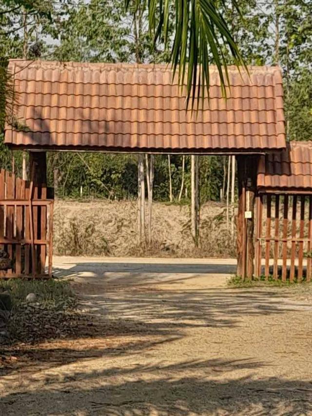 ที่ดินพร้อมบ้าน  3  หลัง 6