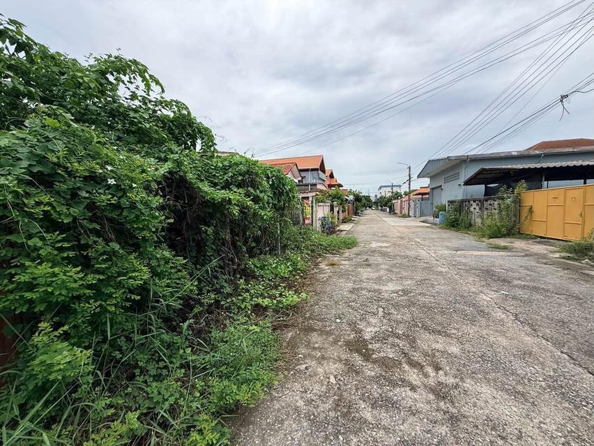 ขายด่วนที่ดินนวมินทร์ 60 ตรว ติดถนนสาธารณะ ถมแล้ว+ล้อมลวดหนาม ซ.นวมินทร์ 163 แยก13-4 บางกะปิ กทม. 6