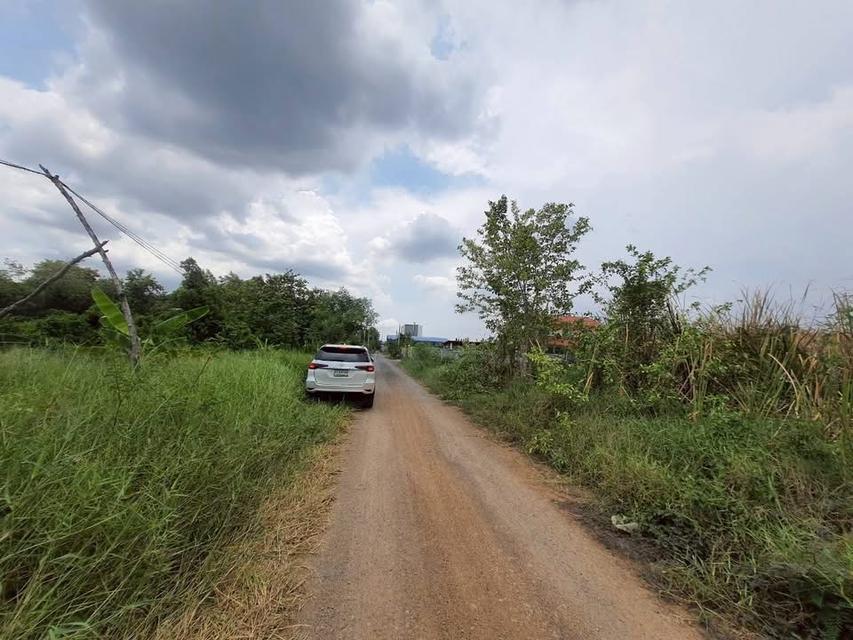 ขายถูกที่สุด ที่ดินทำเลดี 100 ตารางวา ติดถนนสาธารณะ ซอย คลองห้าตะวันออก 3 อ.คลองหลวง จ.ปทุมธานี 3