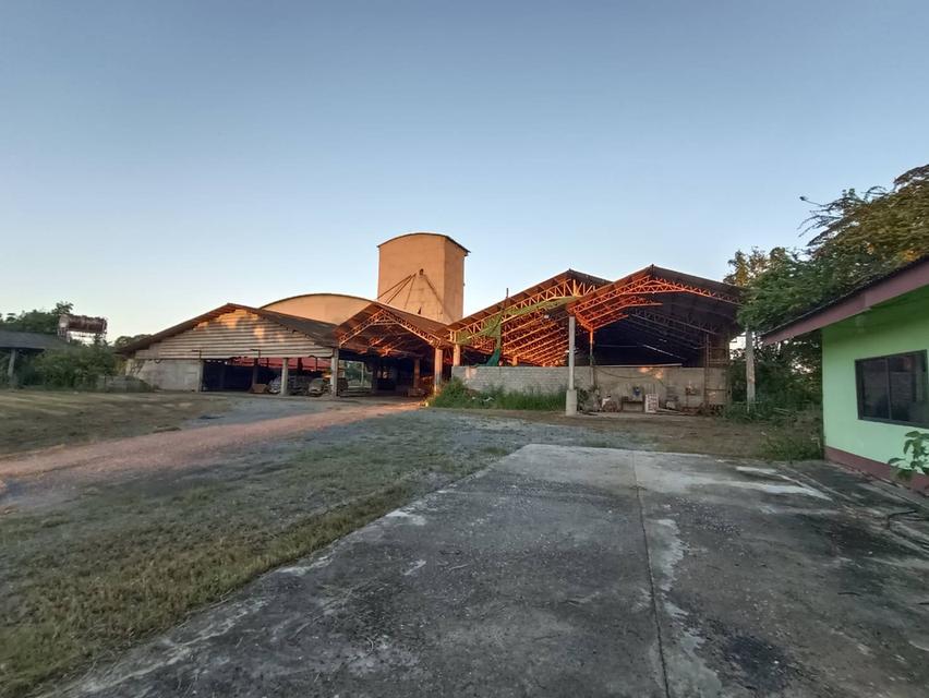 บ้านและที่ดินวิวหลักร้าน 11
