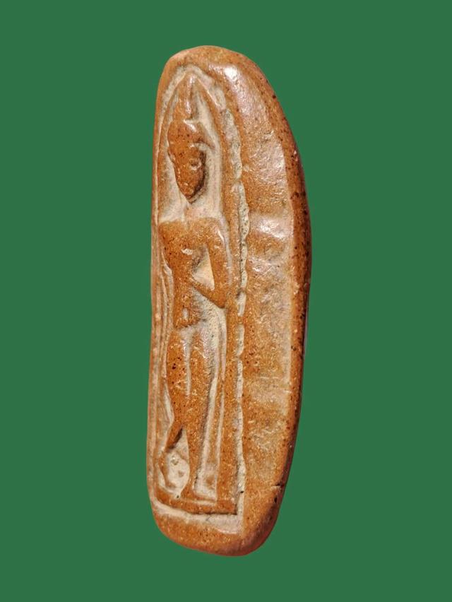 เปิดจ้า💞สนใจทักแชทได้เลยนะคะ 💚ส่งฟรีค่ะ 🥰 รูปที่ 2