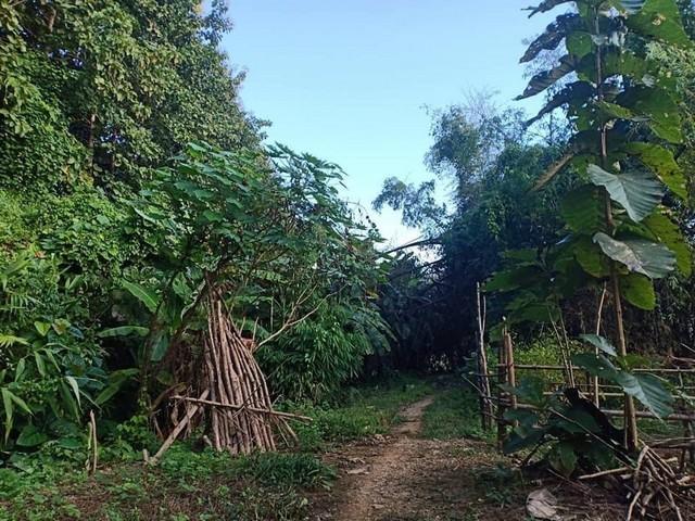 ที่วิวสวยมีไว้ไม่ผิดหวัง ขายที่ดินติดลำธารน้ำใสไหลริน ชุ่มฉ่ำตลอดปี สวยวิวล้าน 800000บาท 3-0-35ไร่ อำเภอสันติสุข น่าน