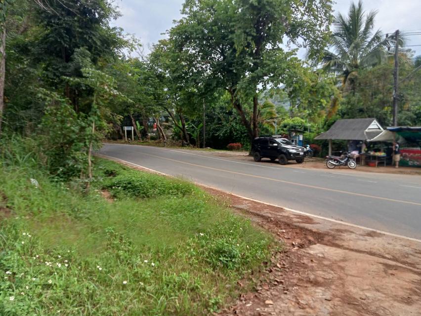 ขายที่ดิน วิวภูเขา 360 องศา เอกสารพร้อมโอนเหมาะสำหรับทำโรงแรม รีสอร์ท บ้านจัดสรร 3