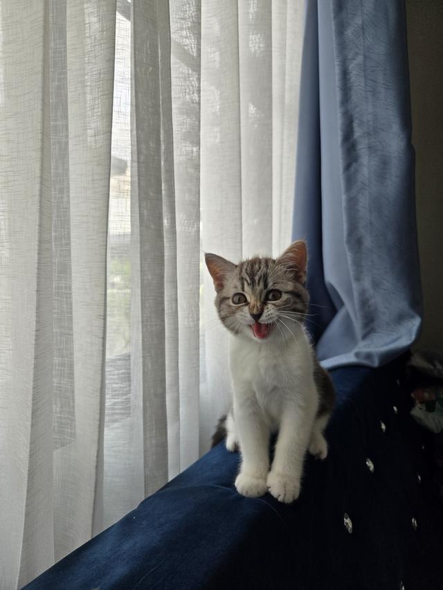 เด็กหญิง พร้อมย้าย พ่อแม่พกใบเพ็ดทั้งคู่ รูปที่ 3