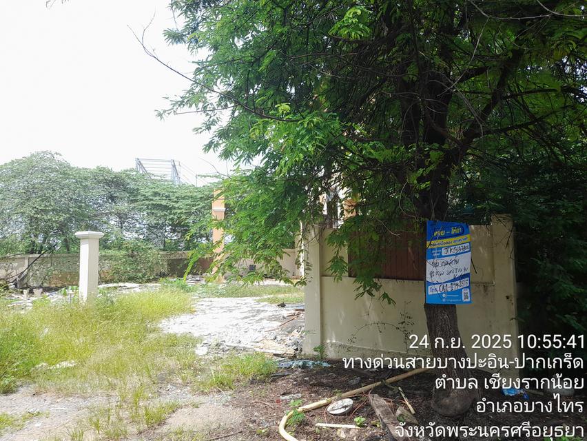บ้านเดียว