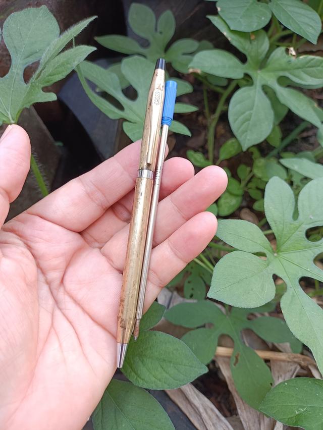 ปากกา CROSS สีทองมีตอก 1/20 10K