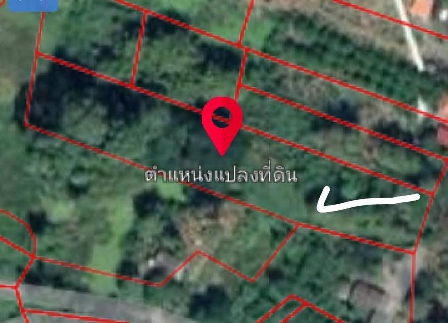 ที่ดินติดแม่น้ำนครนายก 6