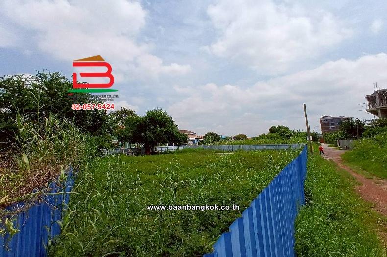 ขาย/เช่า ที่ดินเปล่า ชุมชนศักดิ์มงคลชัย ซอย 5 (ซอยสะแกงาม 14) เนื้อที่ 243 ตร.ว (ใกล้เซ็นทรัลพระราม 2) แขวงแสมดำ เขตบางขุนเทียน กรุงเทพมหานคร 3