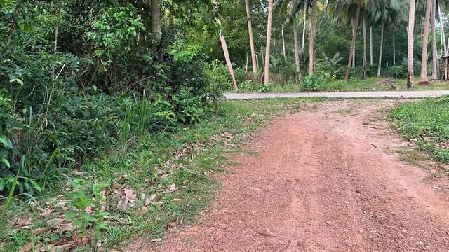ขายที่ดินติดทะเล ฝั่งแดง ประจวบ บางสะพานน้อย สวยมากแปลงนี้ ขายถูกสุดในย่านนี้ ไร่ละ 2.6 ล้านบาท 4