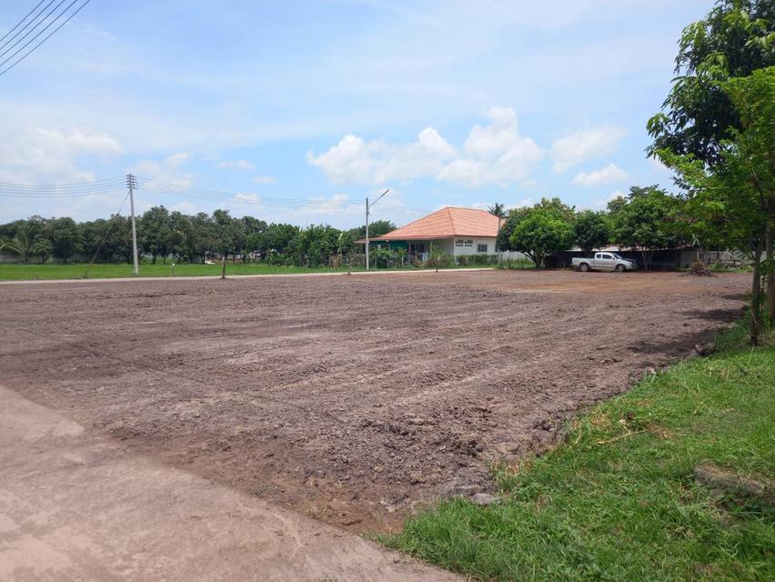 ขายที่ดิน แบ่ง 3 แปลง เจ้าของขายเอง 91 ตารางวา ขอนแก่น 4