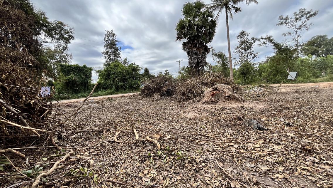 ขายที่ จ.อุบลฯ ราคาถูกมีโฉลด 4