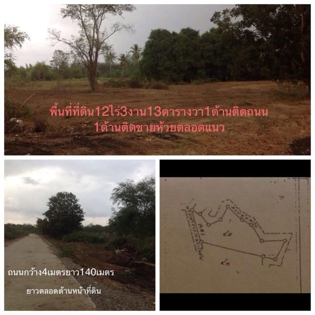 ที่ดินหัวหิน  12ไร่หัวหินทับใต้ไร่ละล้าน 8