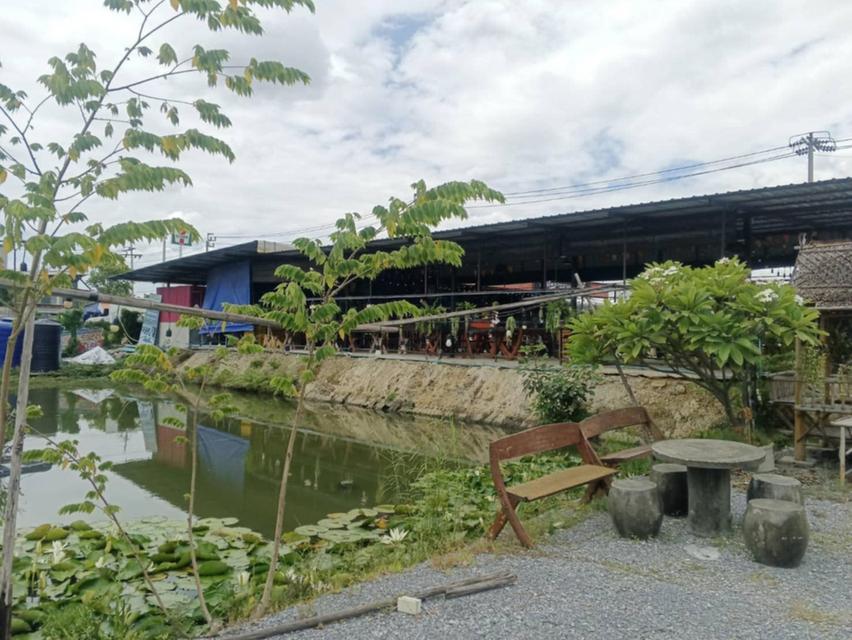 ที่ดิน บางใหญ่ 9