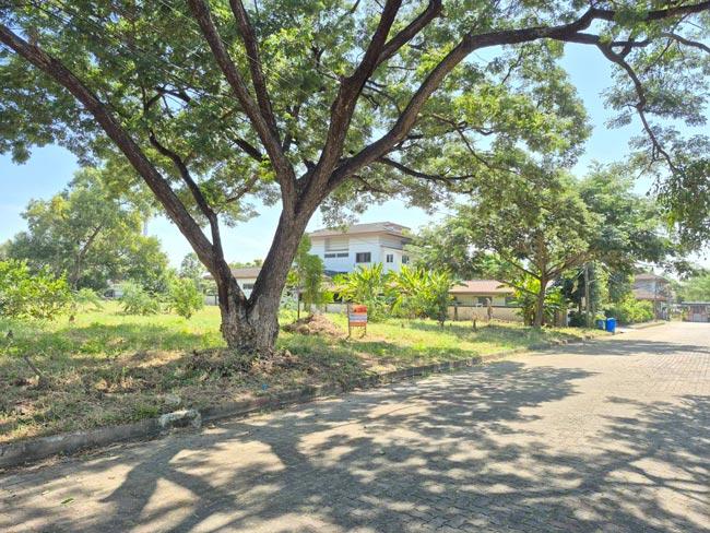 ที่ดิน หมู่บ้าน สวนเอก เลคปาร์ค ลําลูกกา ปทุมธานี 1